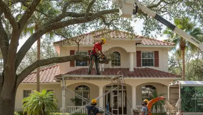 Tree service crew in Brandon, FL providing professional tree trimming and removal services